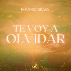 Cover of Te Voy a Olvidar