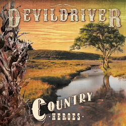 Cover of Country Heroes