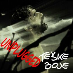 Cover of Teške Boje (Unplugged)