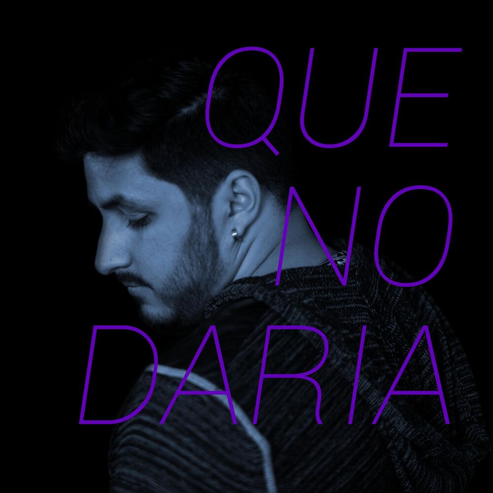 Picture of Que No Daria