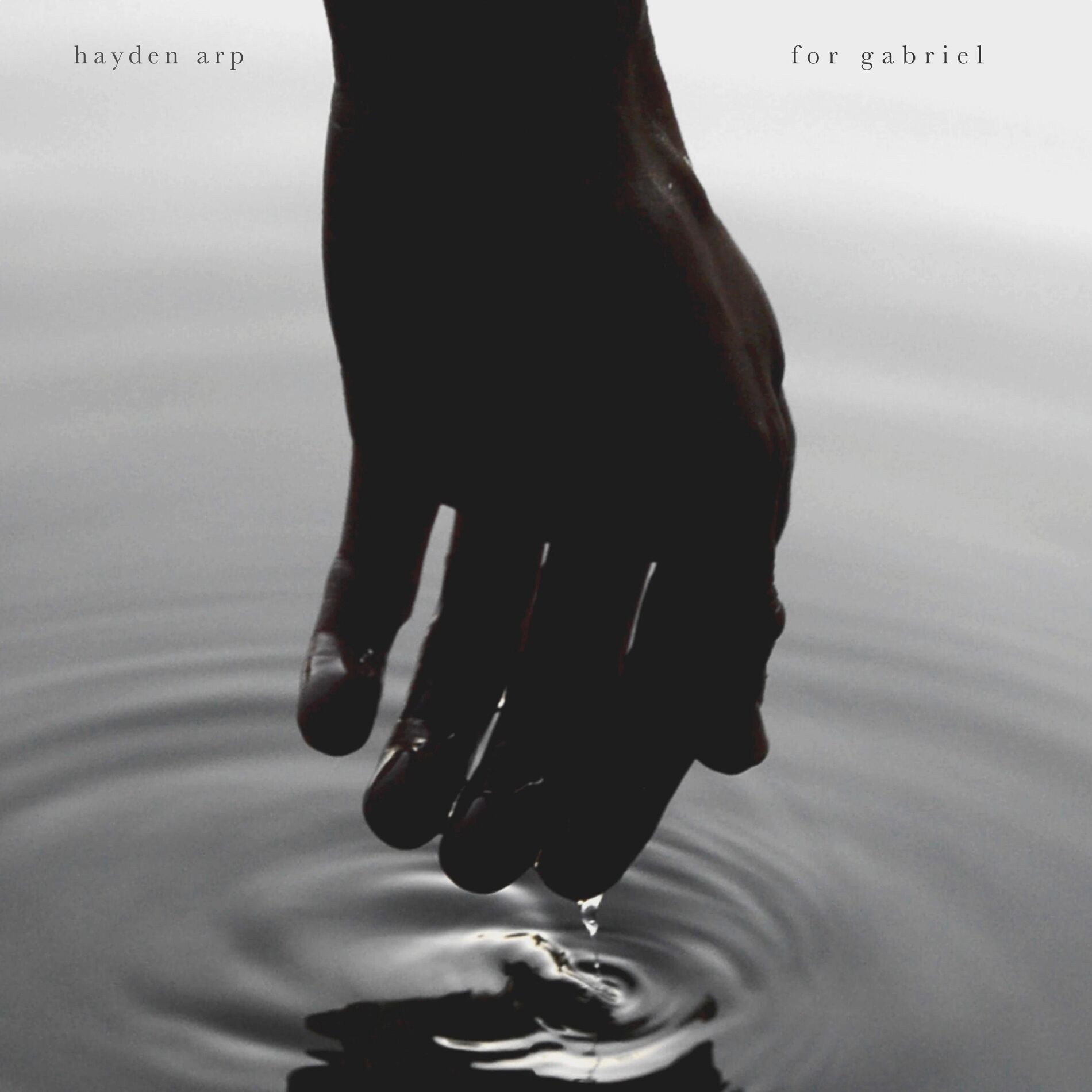 Album cover of For Gabriel