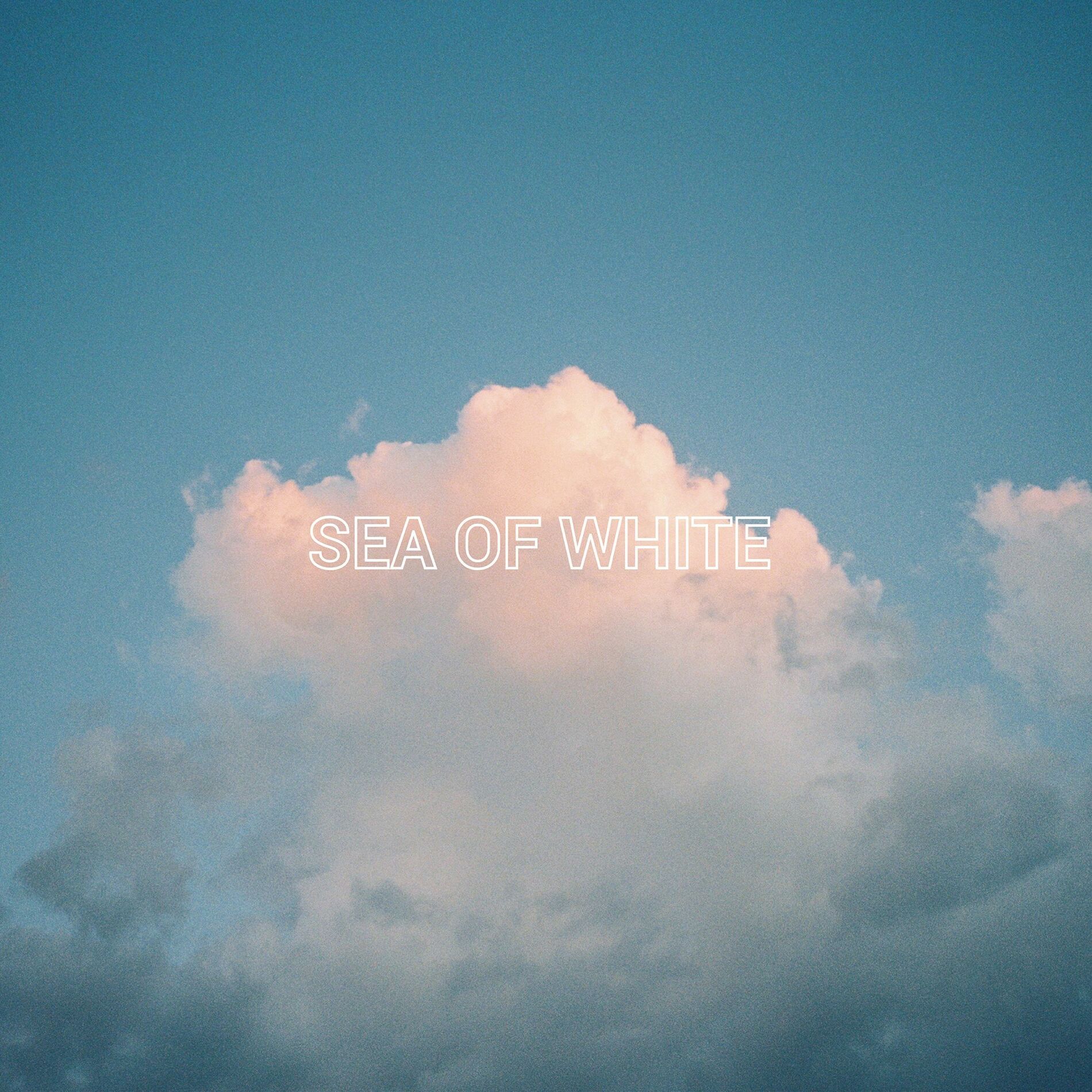 Album cover of Sea Of White