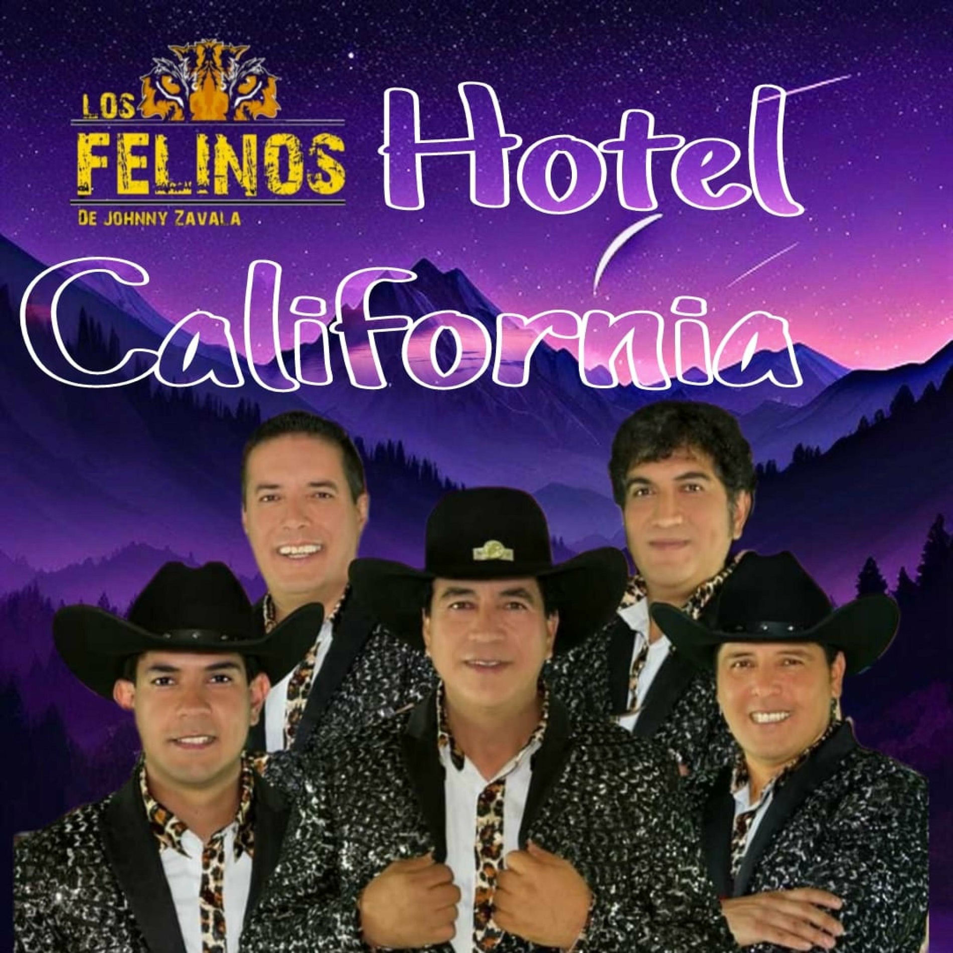 Album cover of Hotel California