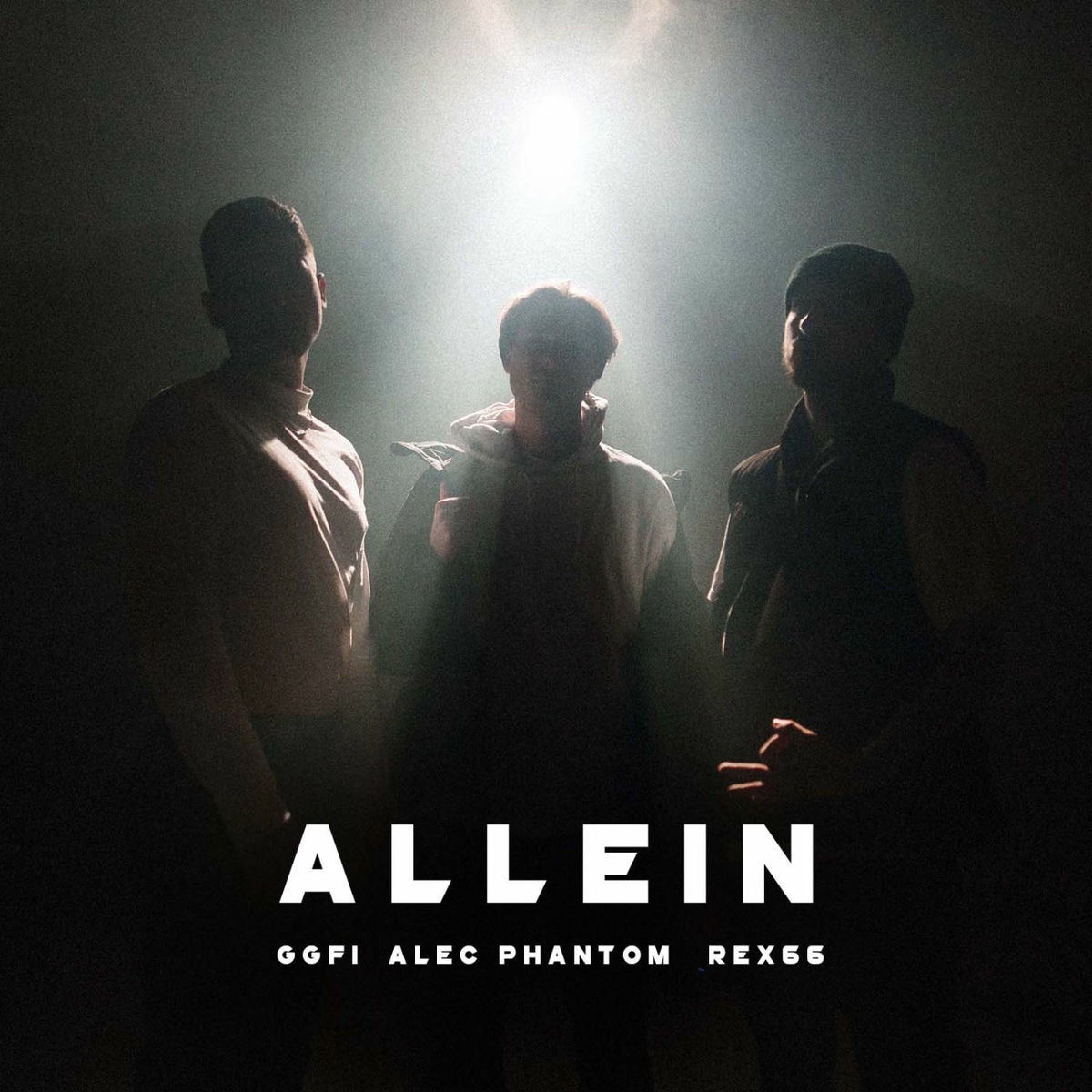 Album cover of Allein