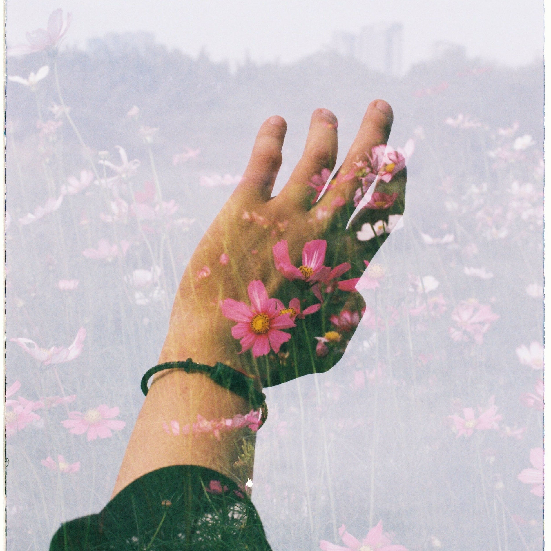 Album cover of Talking Body