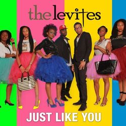 Cover of Just Like You