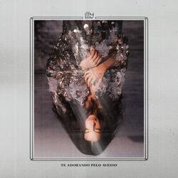 Cover of Te Adorando pelo Avesso
