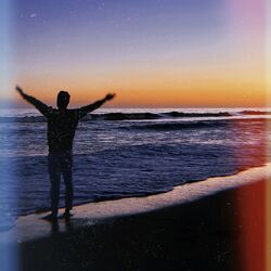 Cover of Next to You