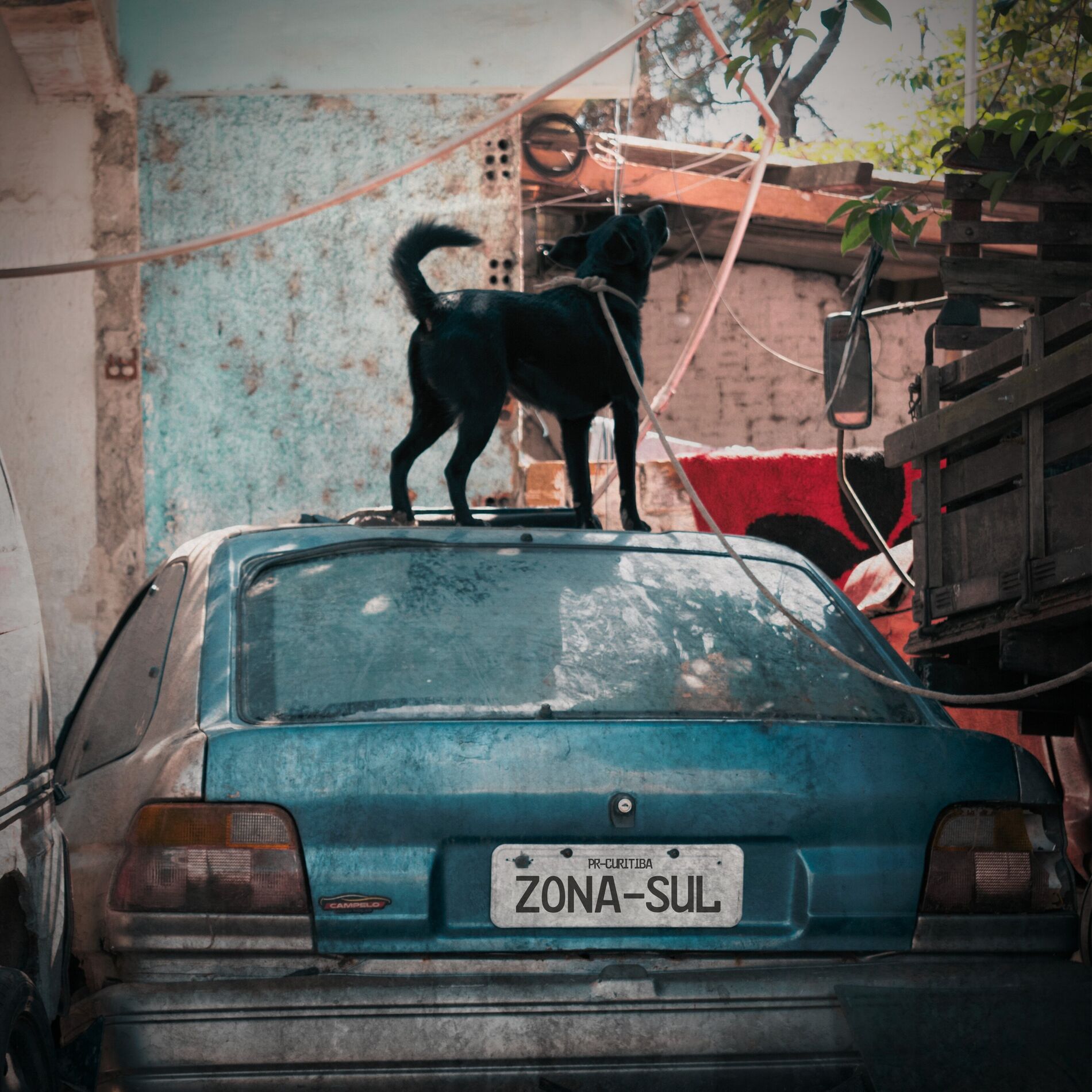 Album cover of Baliza