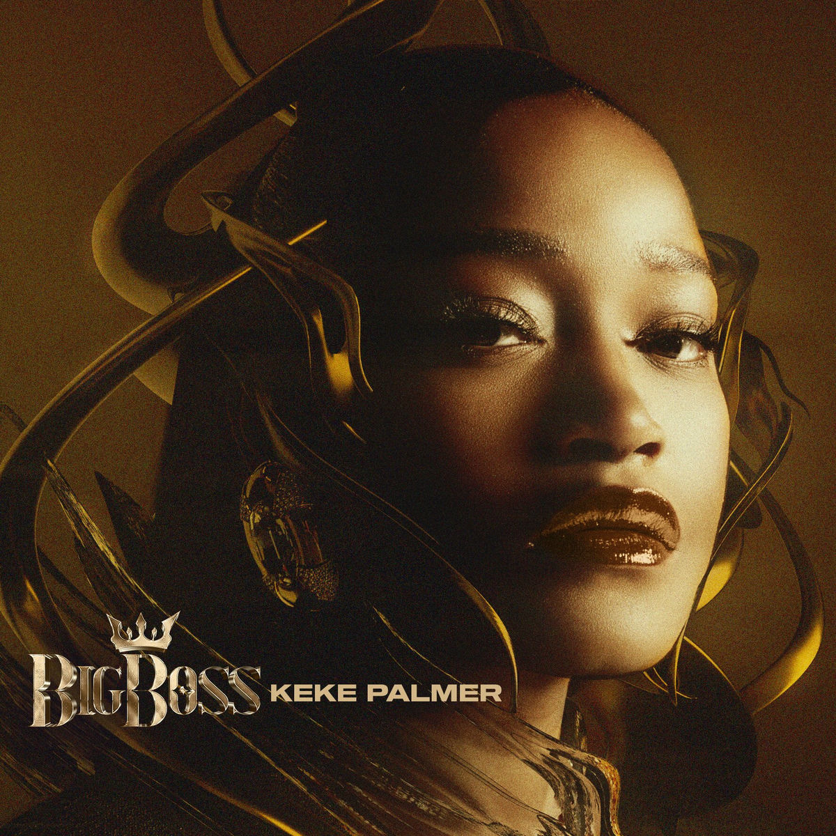Album cover of Big Boss