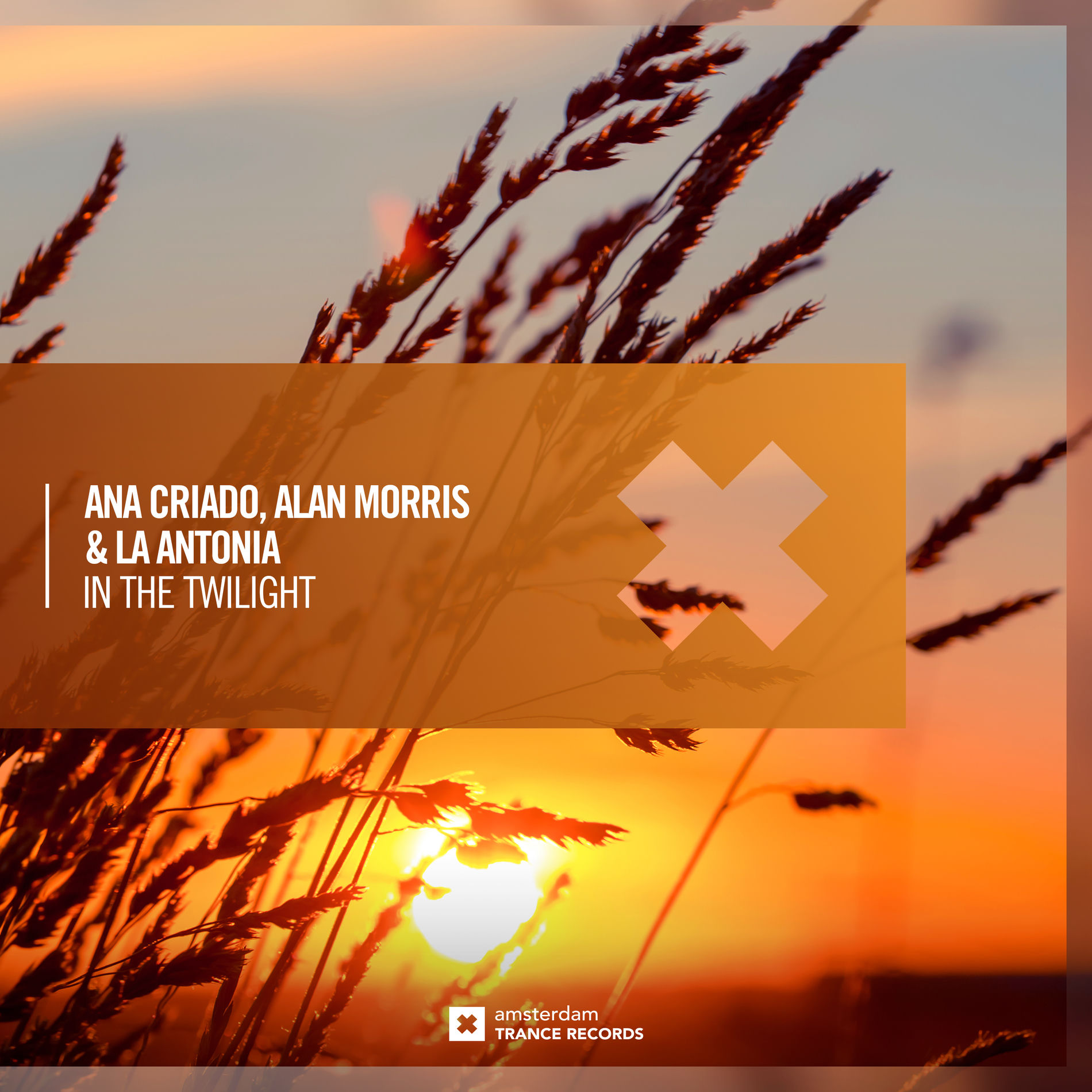 Album cover of In The Twilight