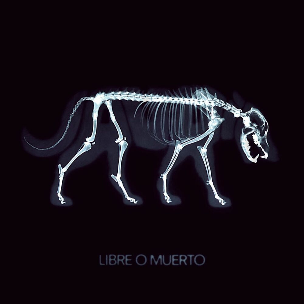 Picture of Libre o Muerto