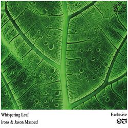 Cover of Whispering Leaf