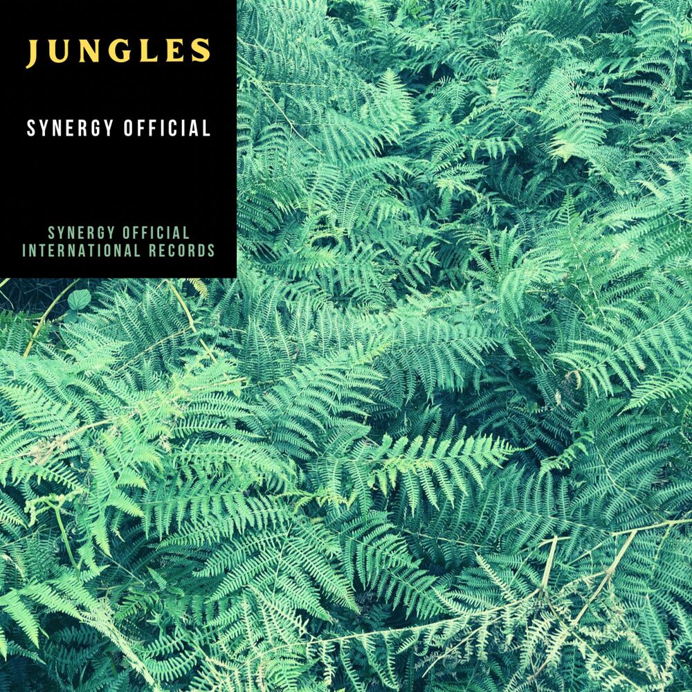Picture of Jungles (Radio Edit)