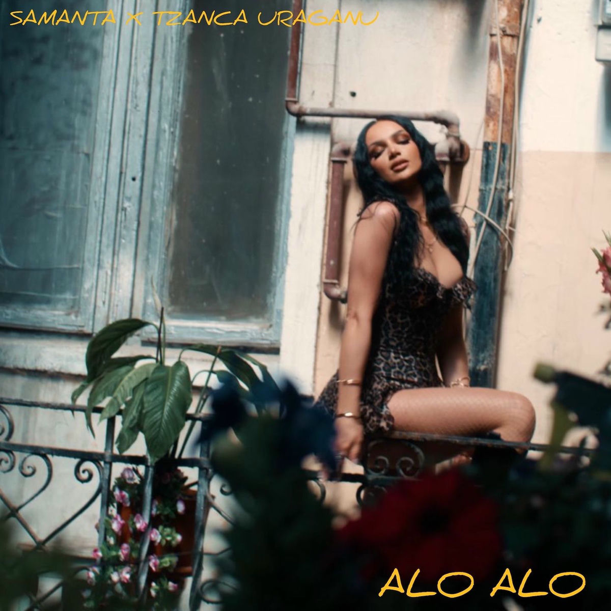 Album cover of Alo Alo