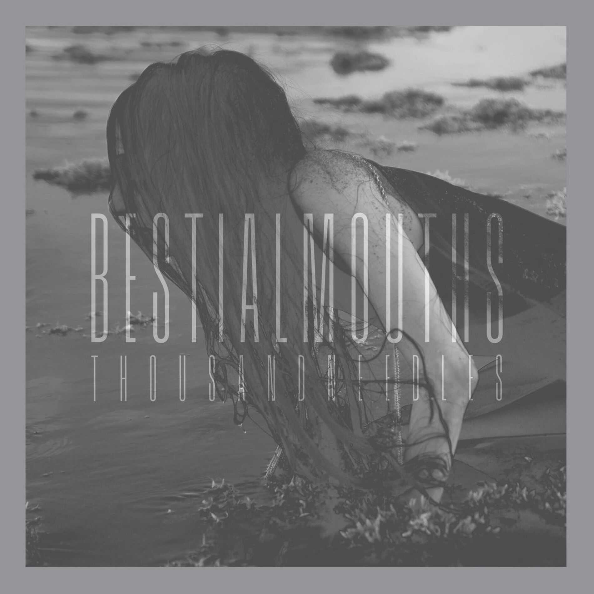 Album cover of THOUSANDNEEDLES