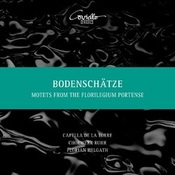 Cover of Bodenschätze (Motetten aus dem 17. Jahrhundert)