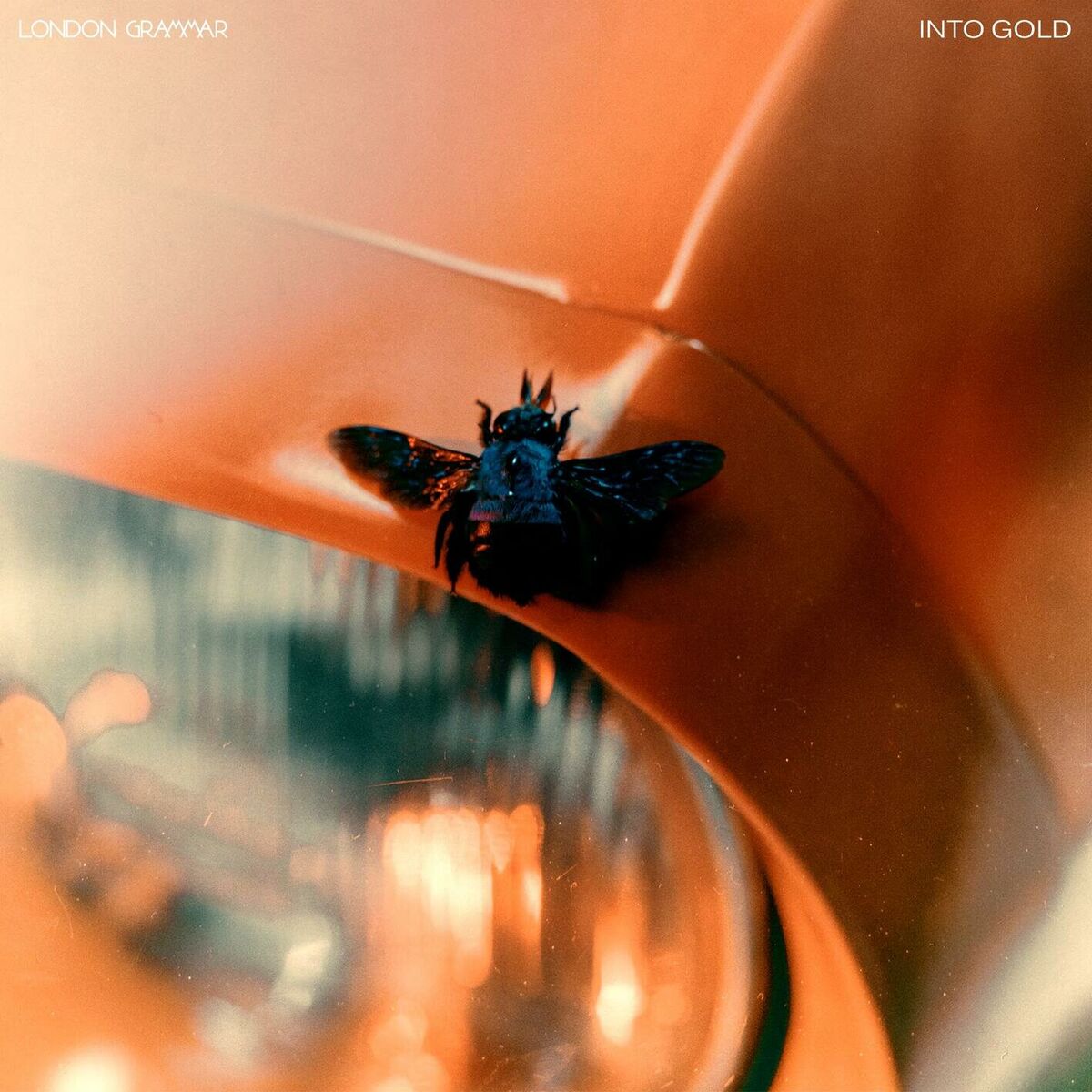 Album picture of Into Gold