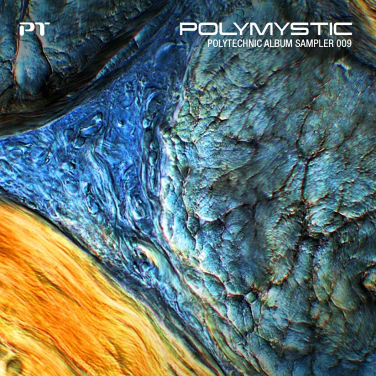 Album cover of Polymystic - Polytechnic Album Sampler 009