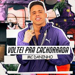 Cover of Voltei pra Cachorrada (Remix Brega Funk)