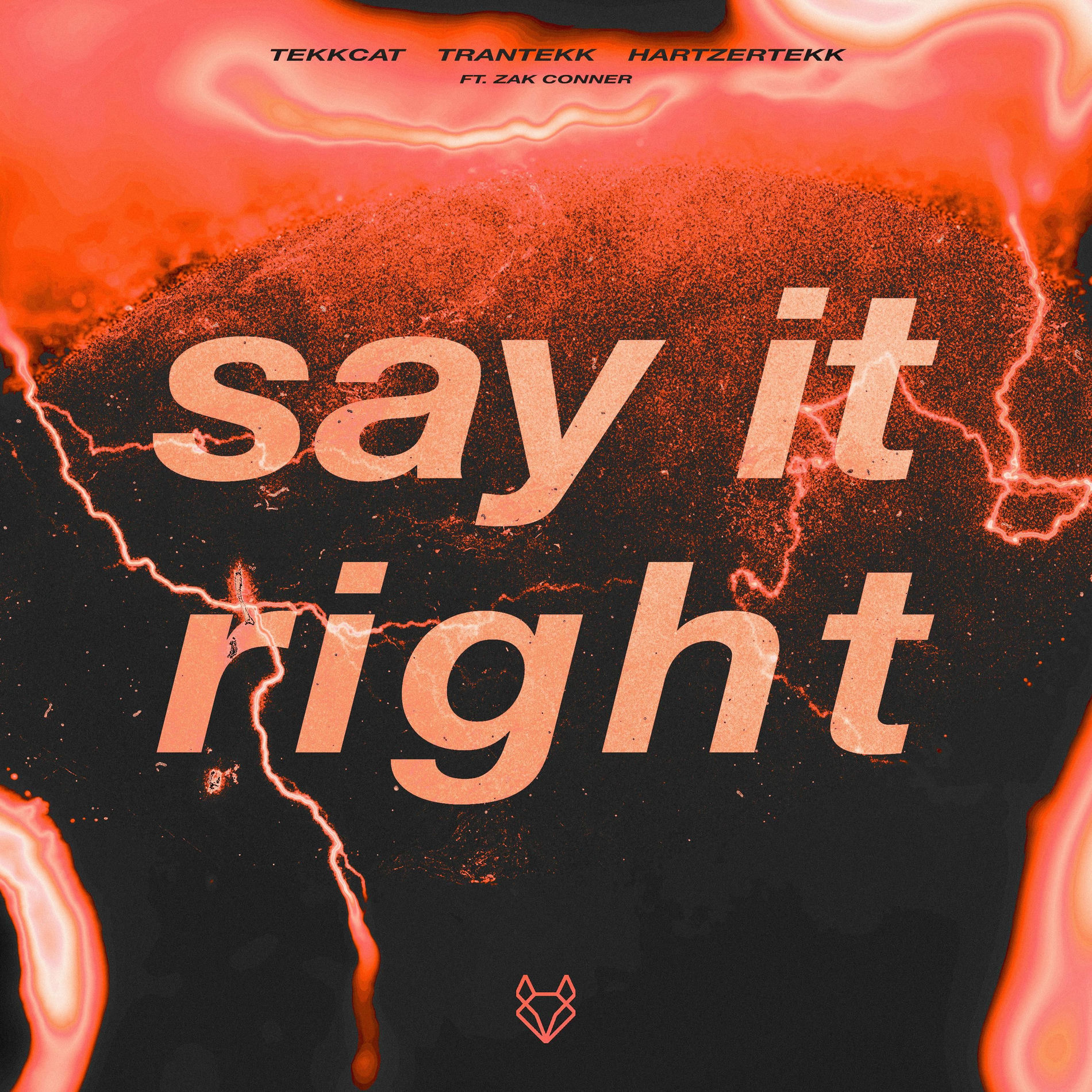 Album cover of Say It Right (feat. Zak Conner) (HardTekk)