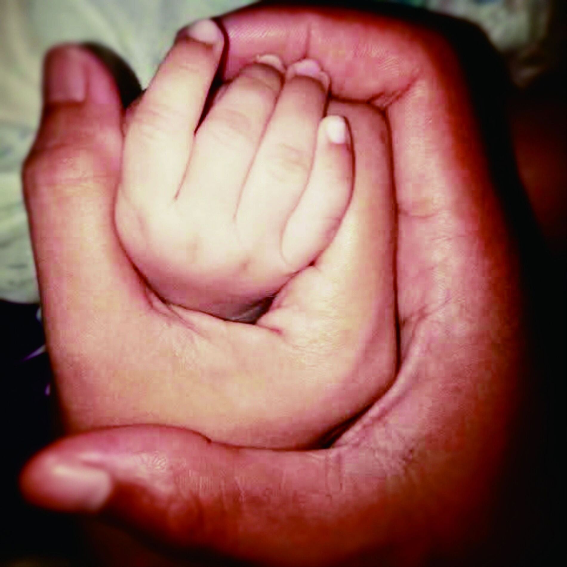 Album cover of Jalani, Syukuri, Nikmati