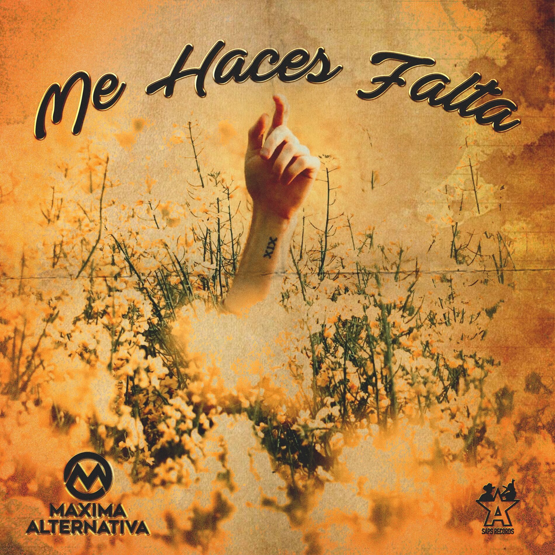 Album cover of Me Haces Falta