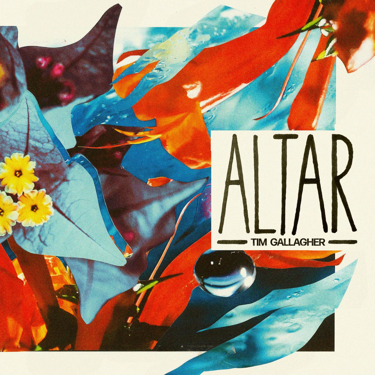 Album cover of Altar