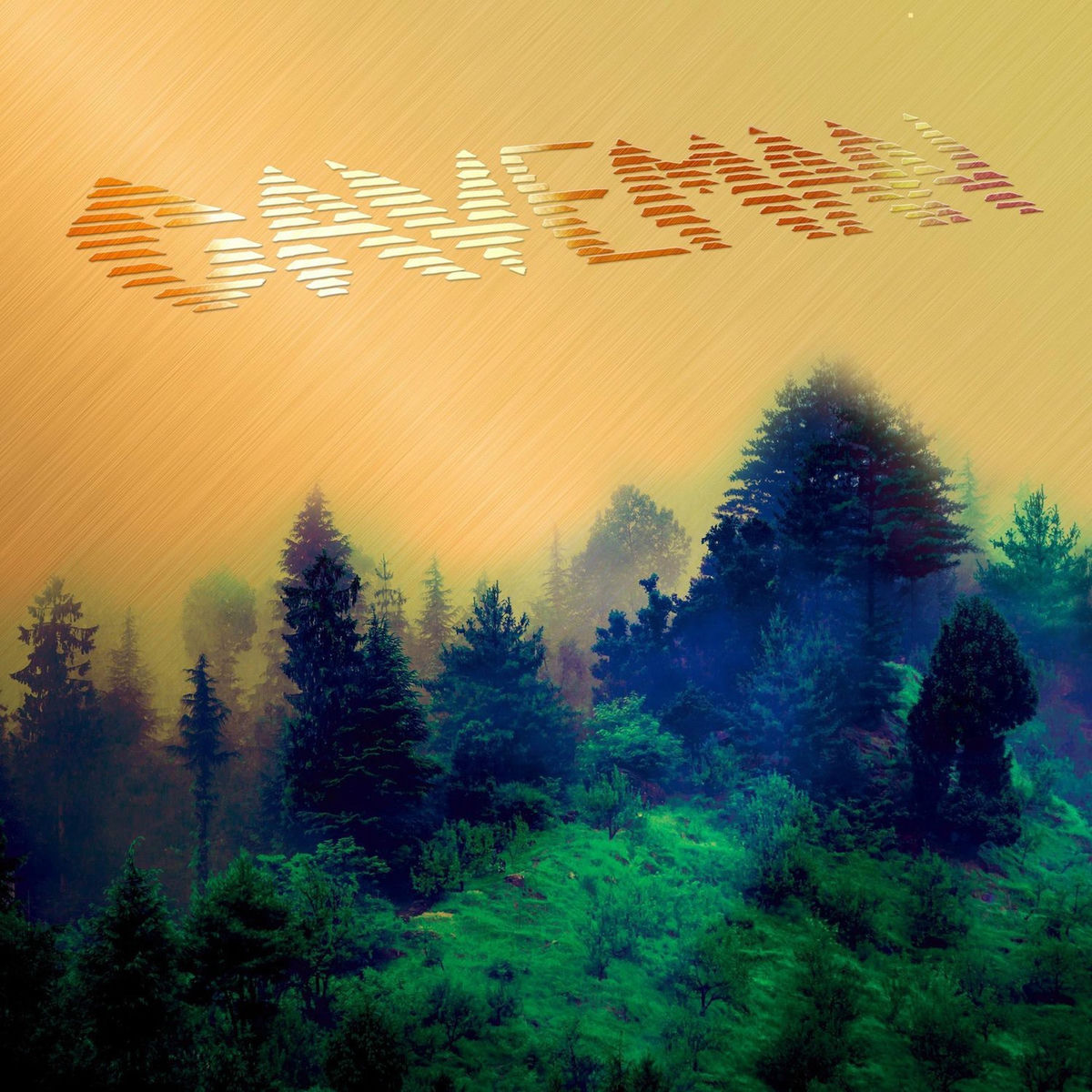 Album cover of Caveman
