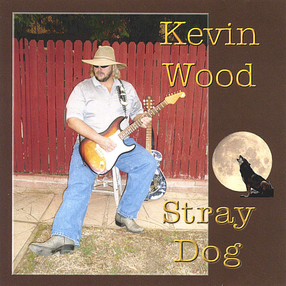 Picture of Stray Dog