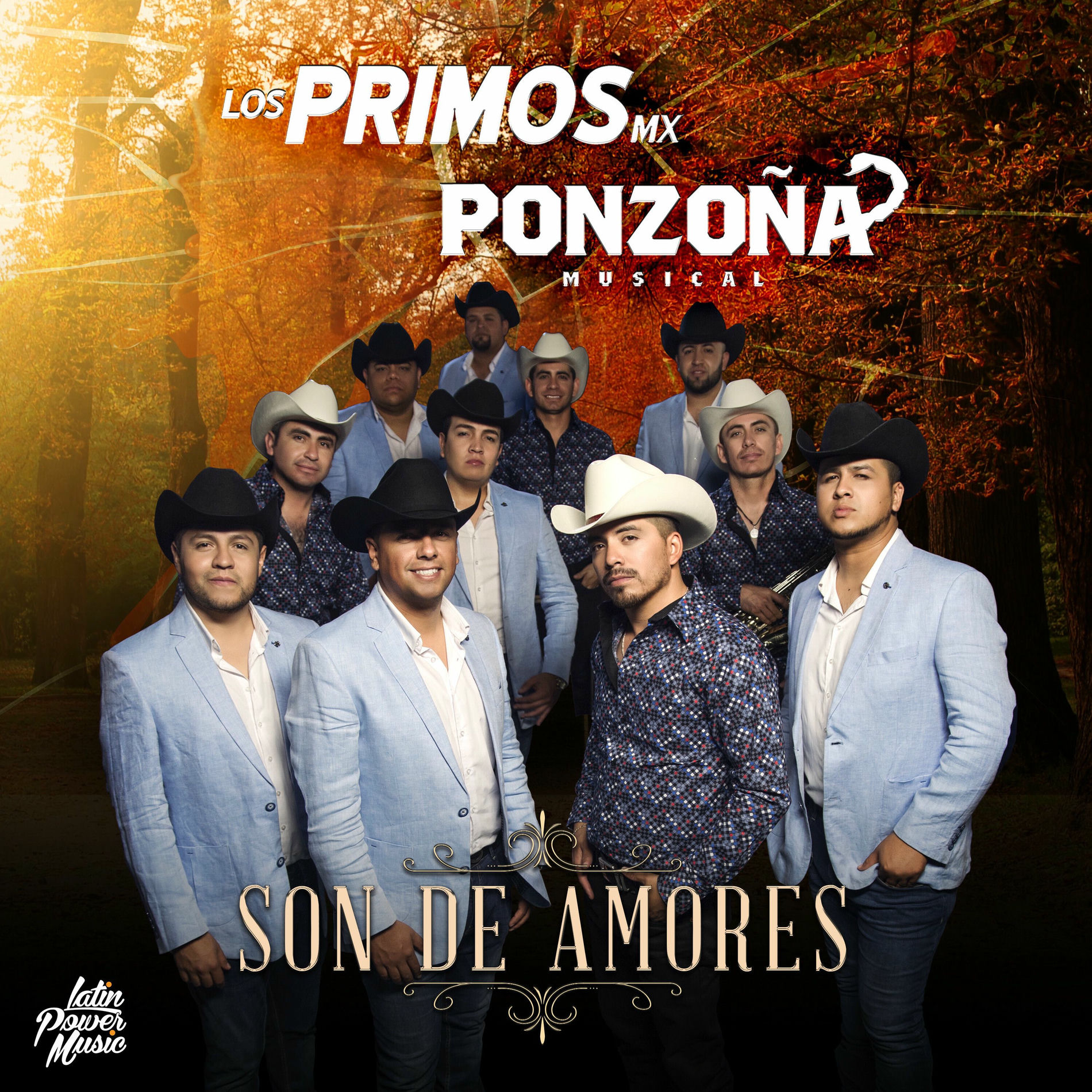 Album cover of Son De Amores [feat. Ponzoña Musical]