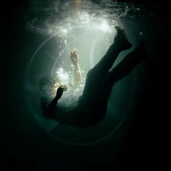Cover of PiSCeS