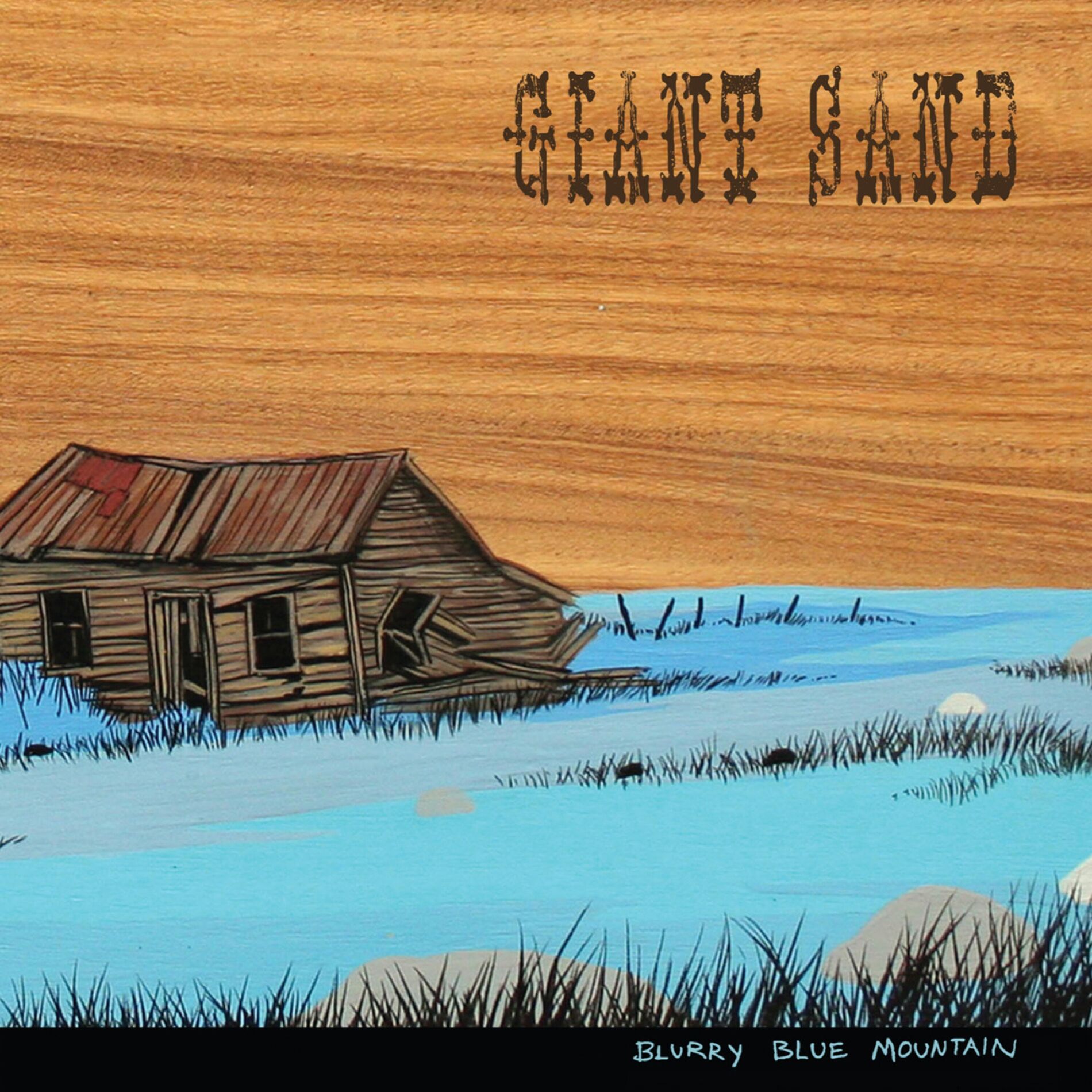 Album cover of Blurry Blue Mountain (Special Edition)