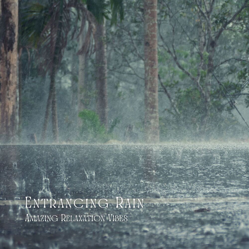 Picture of Entrancing Rain: Amazing Relaxation Vibes