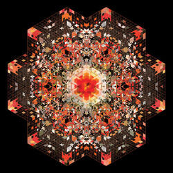 Cover of Half Of Where You Live