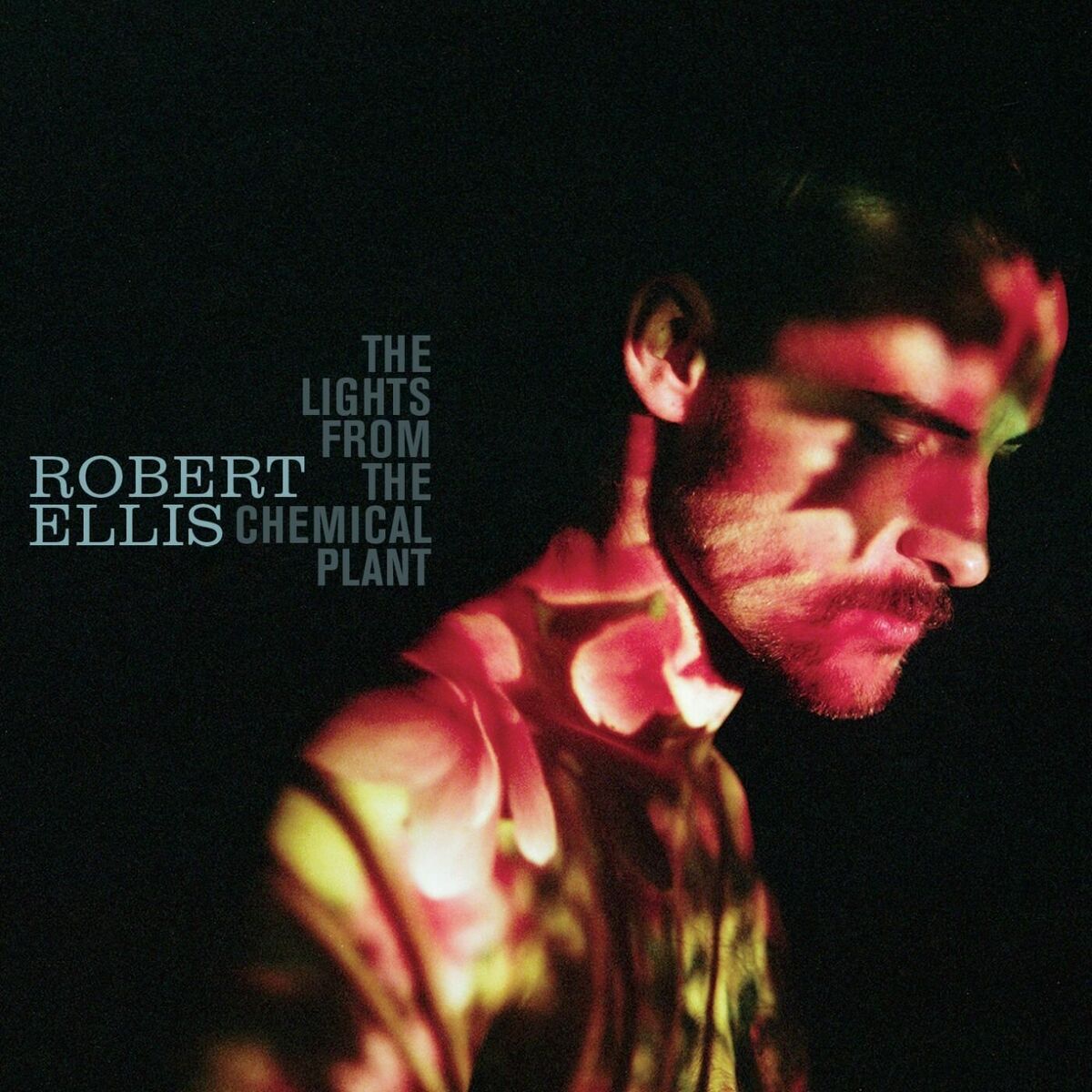 Album cover of The Lights From the Chemical Plant