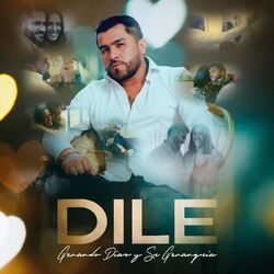 Cover of Dile