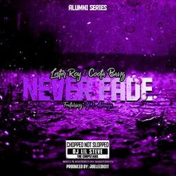 Cover of Never Fade (Chopped Not Slopped)