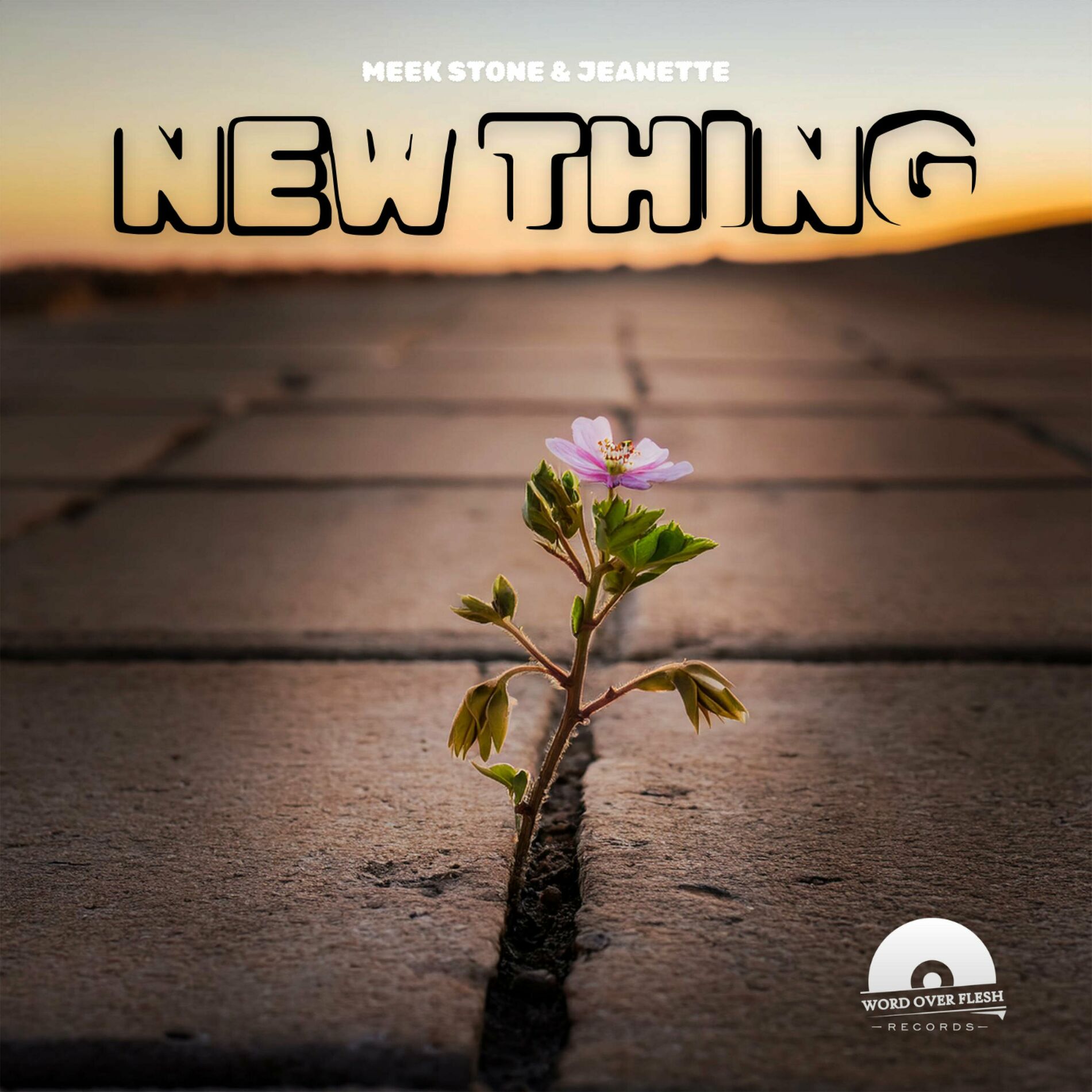 Album cover of NEW THING (feat. Jeanette)