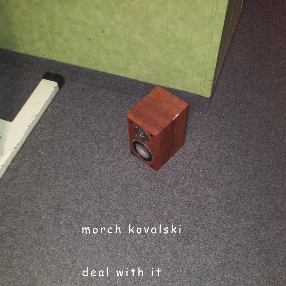Picture of Deal With It