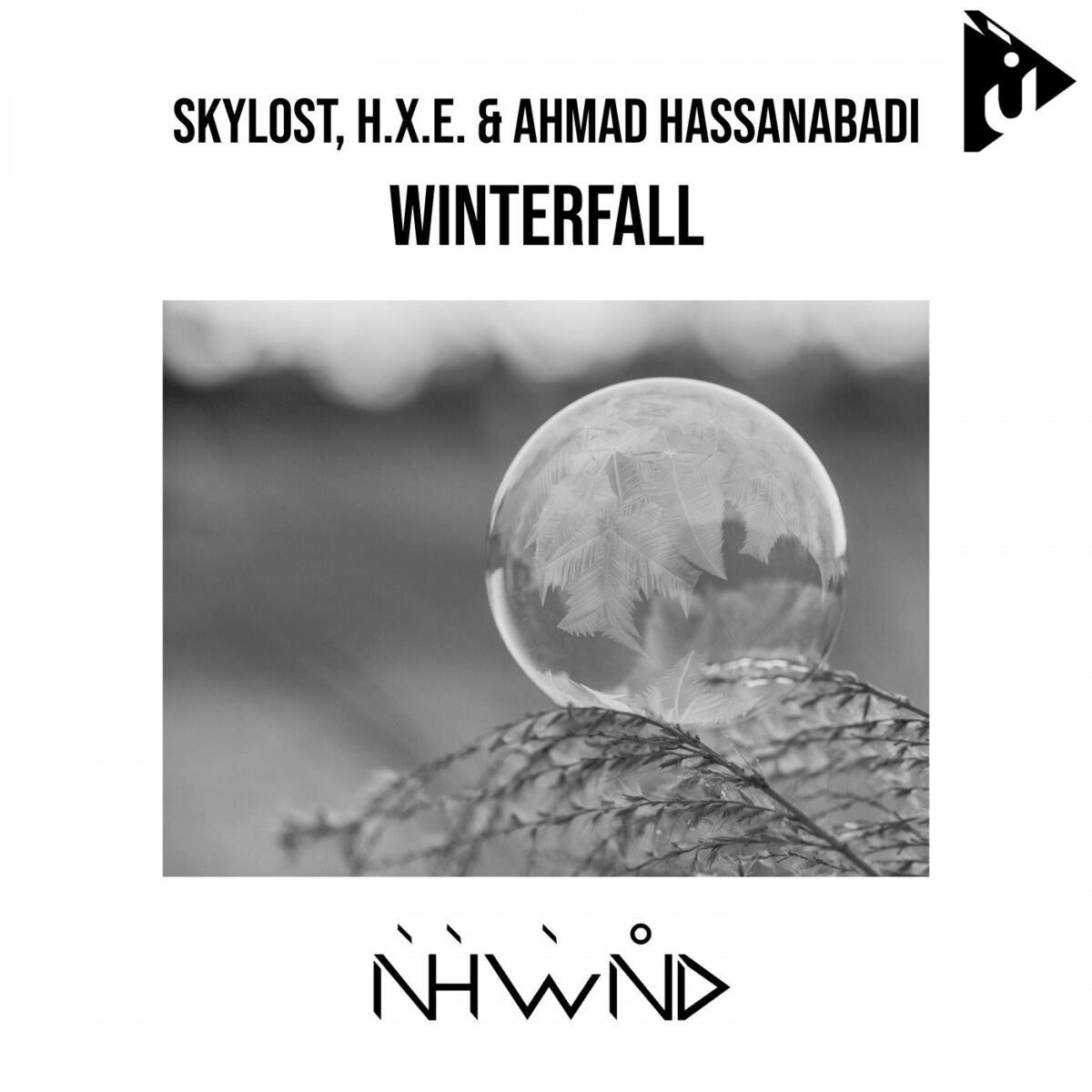 Album cover of Winterfall