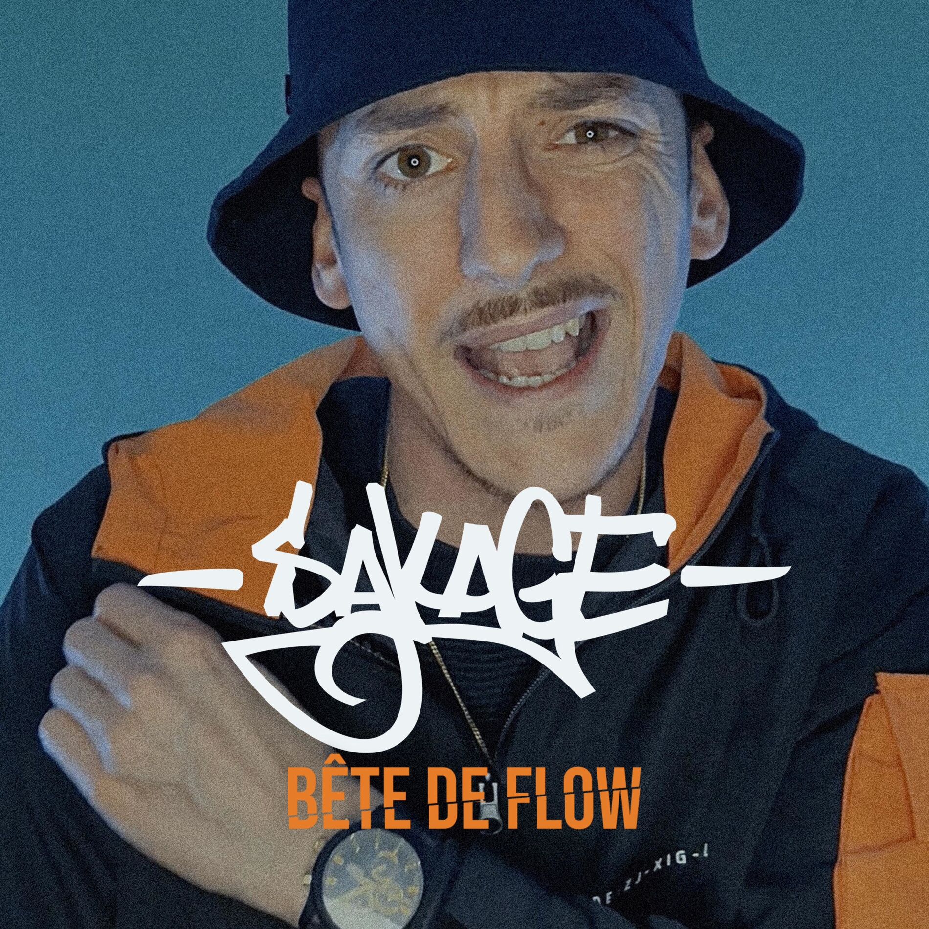 Album cover of Bête de flow