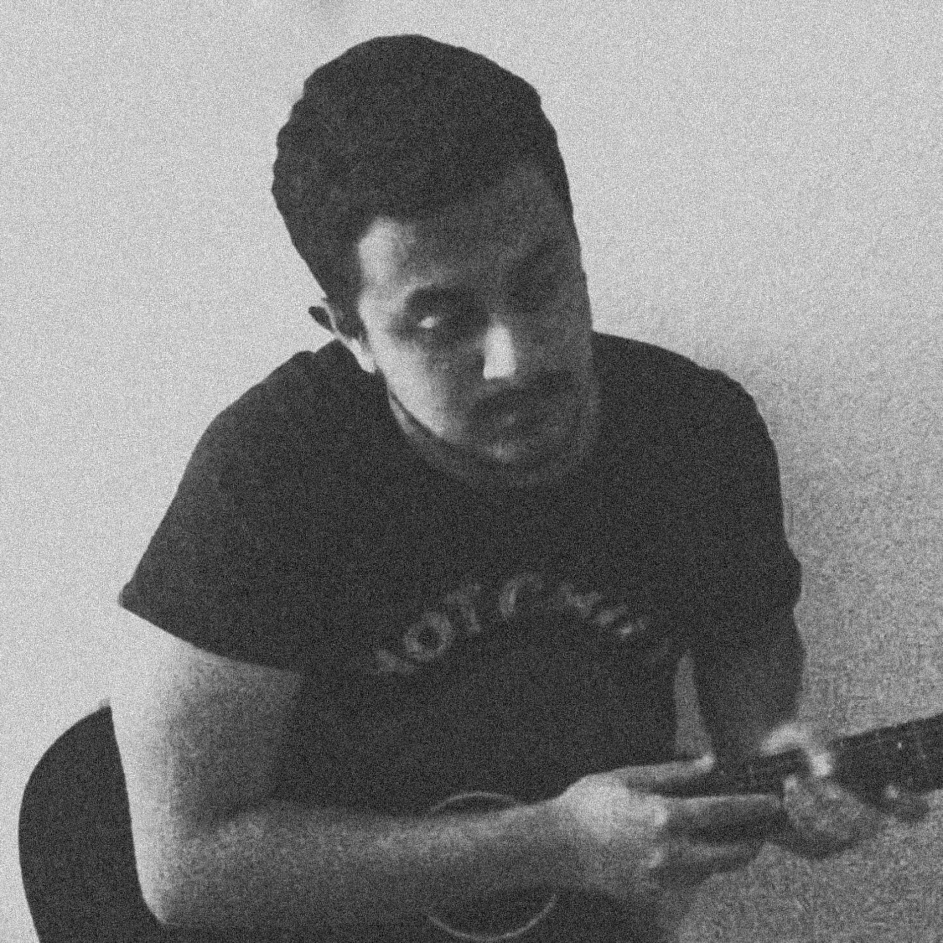 Album cover of The Acoustic Demos