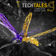 Tipsy Funambulist by Quantaloop album cover