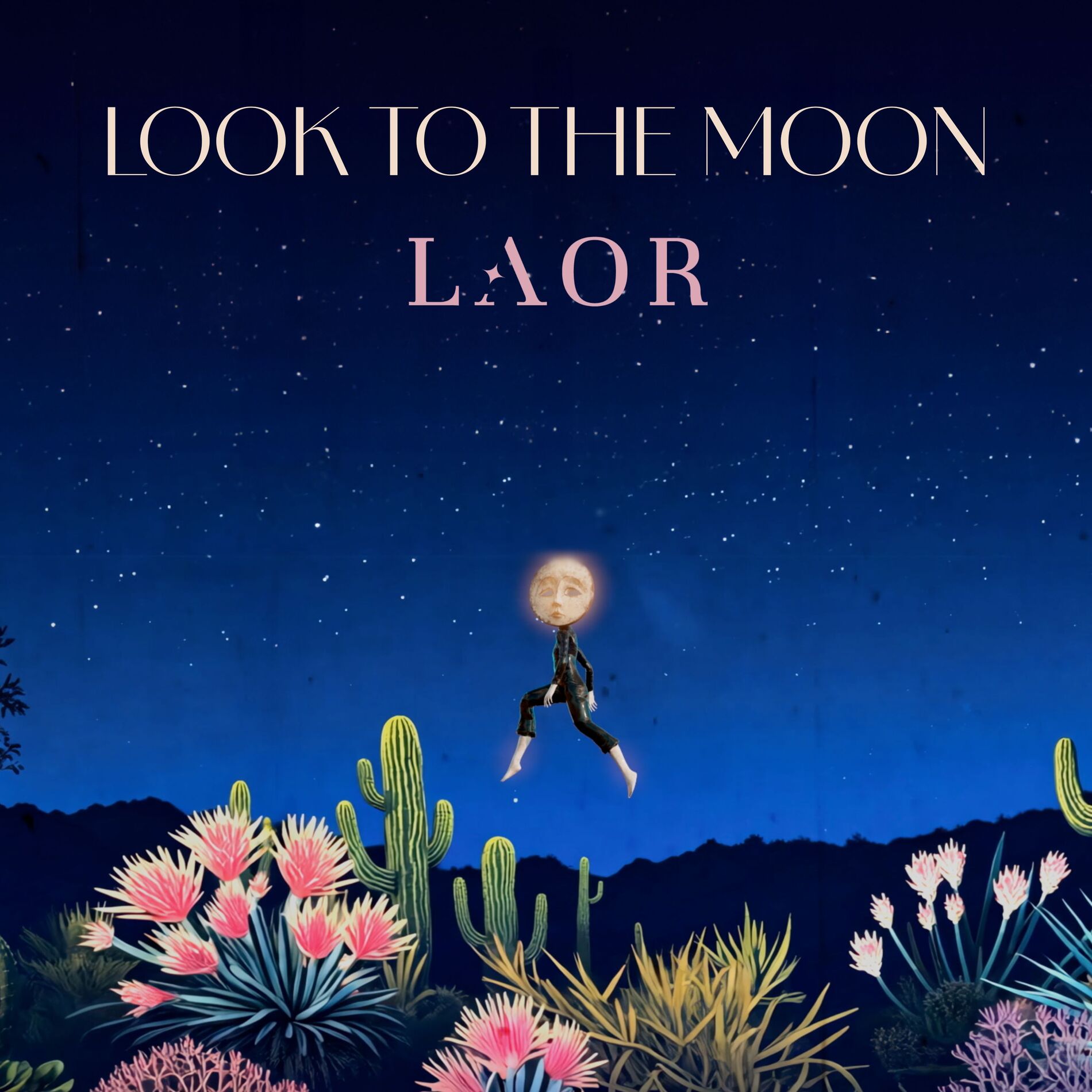 Album cover of Look To The Moon