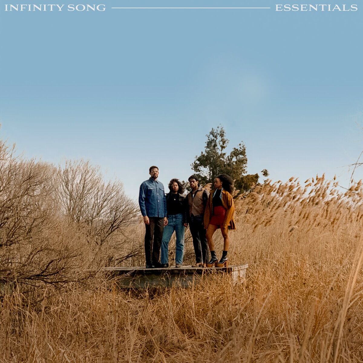 Album cover of Infinity Song Essentials