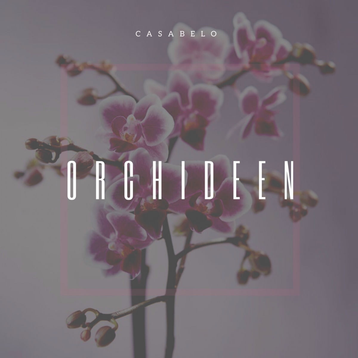 Album cover of Orchideen