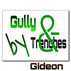 Cover of Gully & Trenches