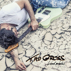 Cover of Landmarks