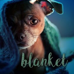 Cover of Blanket